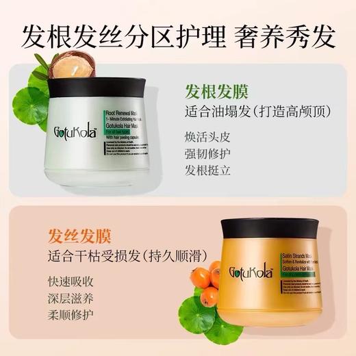 【品牌方直发】gotukola发膜50ml/500ml 绿膜/橙膜 绿膜拯救细软塌控油蓬松/橙膜角蛋白修复发丝get丝般顺滑 商品图2