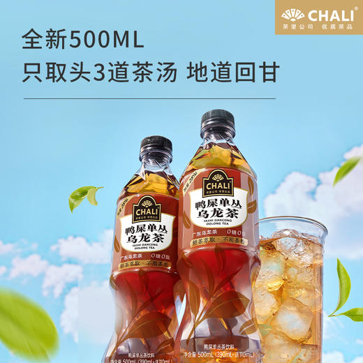 【新品上市】CHALI 鸭屎单丛乌龙茶无糖茶饮料500ml 15瓶/箱 商品图1