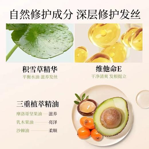 【品牌方直发】gotukola发膜50ml/500ml 绿膜/橙膜 绿膜拯救细软塌控油蓬松/橙膜角蛋白修复发丝get丝般顺滑 商品图5