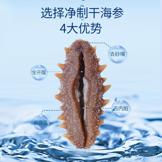 【正宗同仁堂品牌】北京同仁堂  总统牌 净制海参（干海参）165克（71-90头/500克） 去砂嘴 去内脏  参体肥厚SY 商品图5