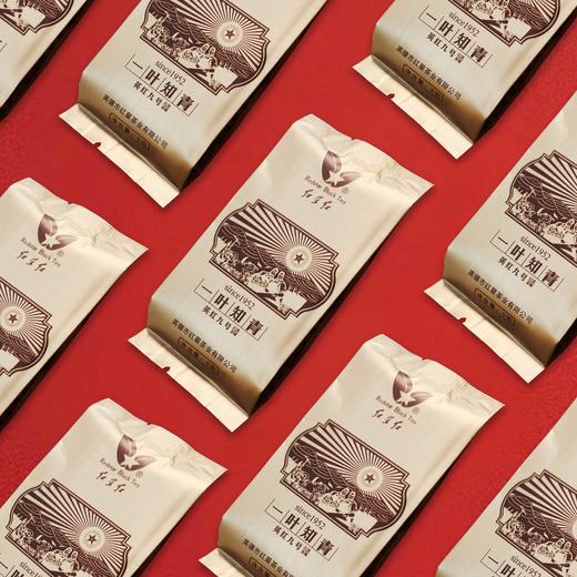 一叶知青∙贵人福英红九号 商品图3