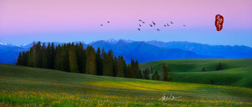 【新疆伊犁5月限定】绝美新疆 天山红花 塔夏古道8天摄影 商品图4