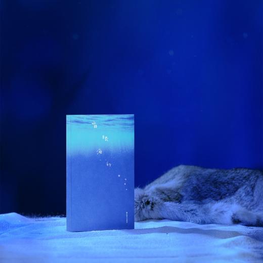 盲眼海豹 《送你一朵小红花》《我爱你！》编剧韩今谅首部中长篇小说 商品图4