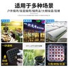 易燃便携烧烤炭 商品缩略图3