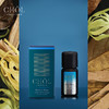 CHÔL泰国复方精油梦境归旅10ml 商品缩略图2