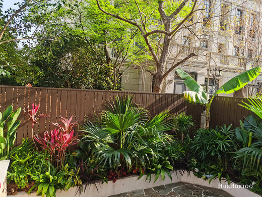 私人花园造景丨拥有独一无二自然空间(造景需求请联系客服，标价仅为展示) 商品图2