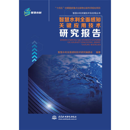 智慧水利全面感知关键应用技术研究报告 商品图0