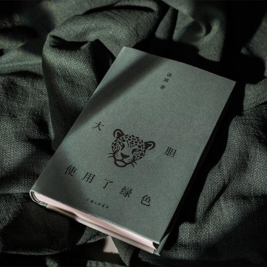 【签名本】大胆使用了绿色 谈波 著 商品图3