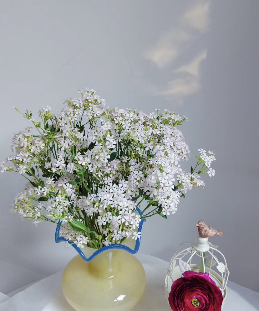 【受欢迎】粉钻 约10枝/扎