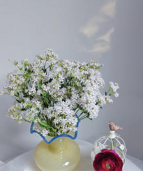 【受欢迎】粉钻 约10枝/扎