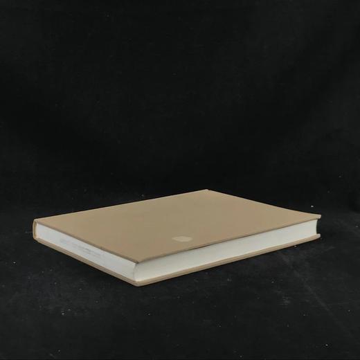 意大利文艺复兴艺术与旁观者 200余幅插图 精装16开 商品图1