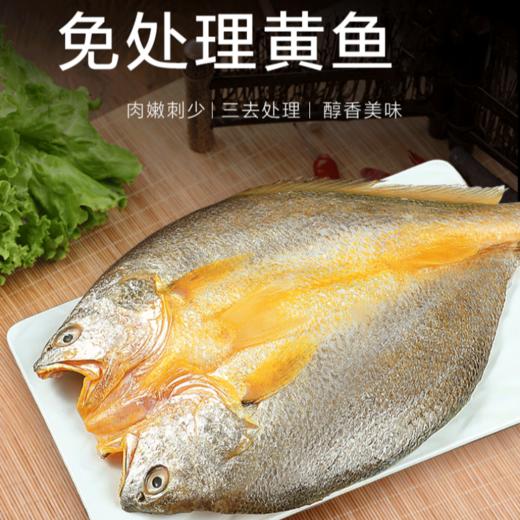 【野生海产】冰川黄鱼200-300g 近南极海域 商品图1