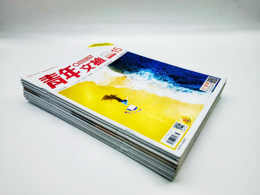 2022年随机10本《青年文摘》过刊   彩版、黑白版 商品图4