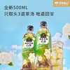 【新品上市】CHALI 栀香茉莉白茶无糖茶饮料500ml 15瓶/箱 商品缩略图1