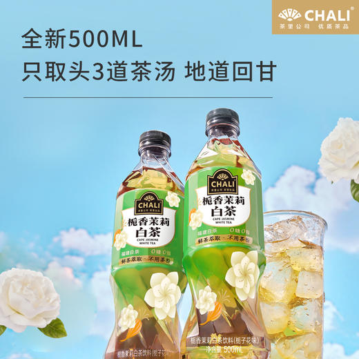 【新品上市】CHALI 栀香茉莉白茶无糖茶饮料500ml 15瓶/箱 商品图1