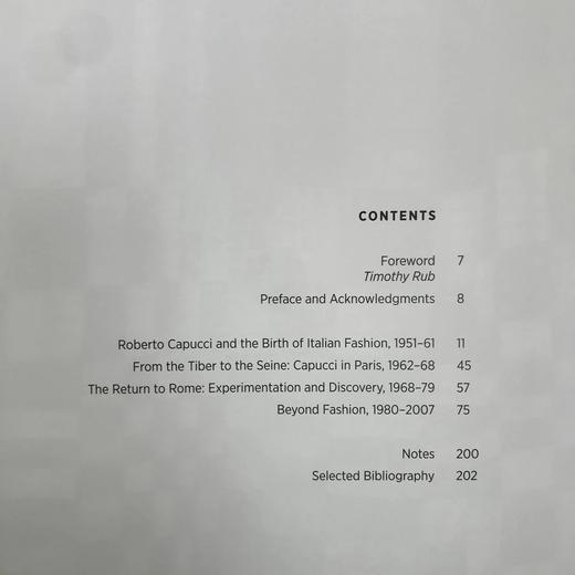 罗贝托·卡普奇：艺术融入时尚 约百余幅彩色插图 平装大16开 商品图5