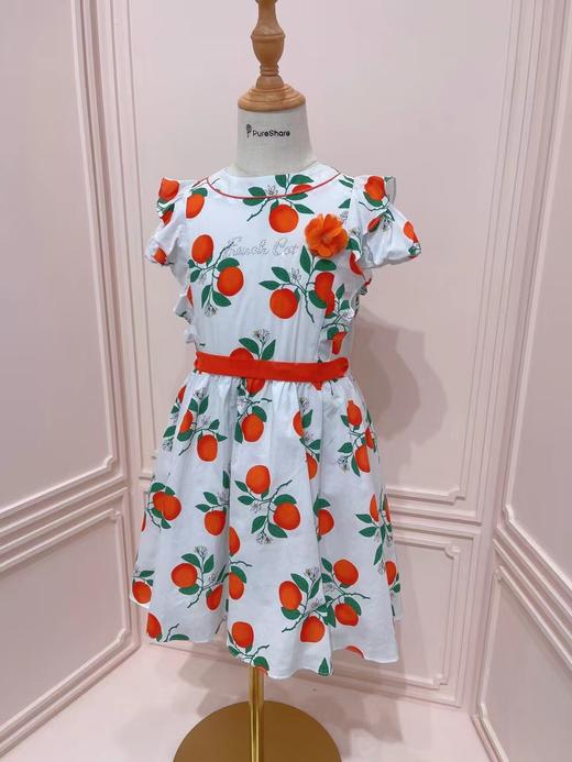 红果子连衣裙 商品图0