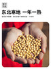 有机黄大豆 东北寒地 一年一熟 放心粮 商品缩略图2