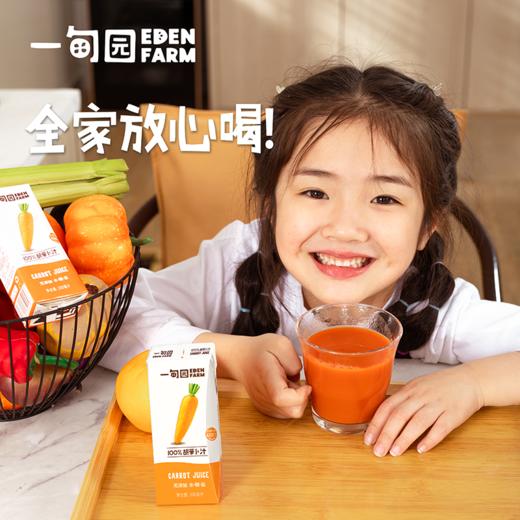 一甸园 100%胡萝卜汁 200ml*10 商品图5