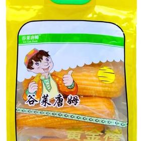 谷莱唐姆甜糯黄玉米10根/袋  新疆博乐特产 可放心食用