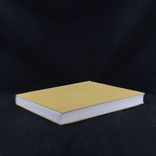 西方世界乐器图集 100幅插图 精装大16开 商品图1