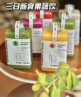 轻断食果蔬汁（天气炎热请急冻保存）