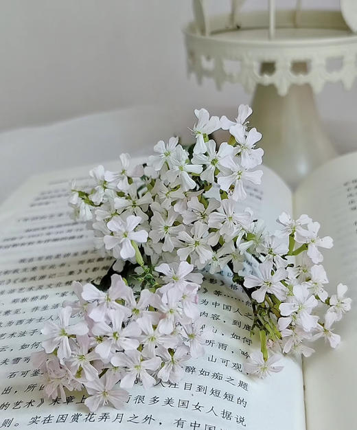 【受欢迎】粉钻 约10枝/扎 商品图1