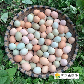 九华山土鸡蛋  九华山直发包邮