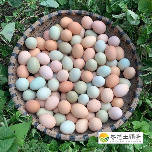 九华山土鸡蛋  九华山直发包邮 商品图0