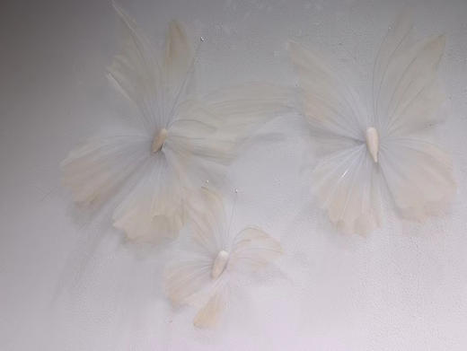 纱蝴蝶（运费自理） 商品图8