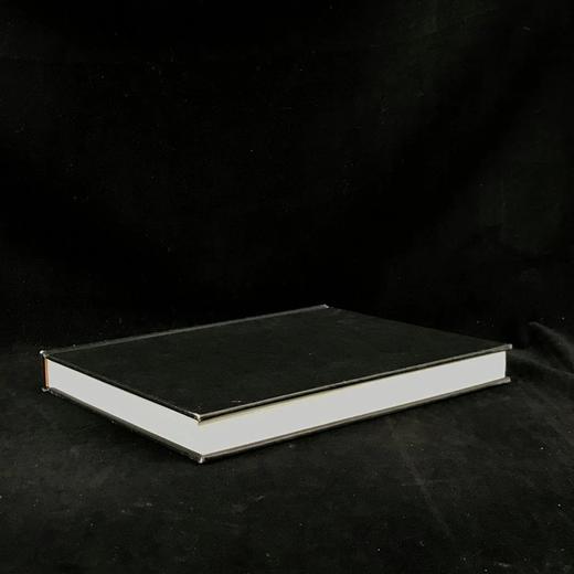 二十世纪装饰图集 400幅插图（200幅彩色） 精装大16开 商品图1