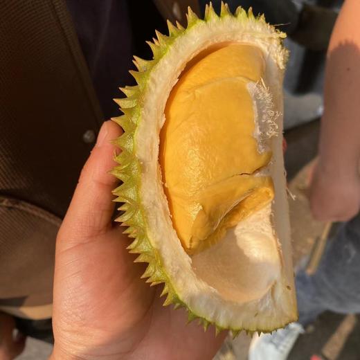 泰国托曼尼巴掌榴莲 猫山王巴掌榴莲 商品图0
