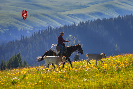 【新疆伊犁5月限定】绝美新疆 天山红花 塔夏古道8天摄影 商品图3