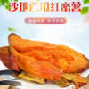 甄源|特惠|广西西瓜红蜜薯4.5-5斤中小薯单果50-150g大果150g+ 商品缩略图1
