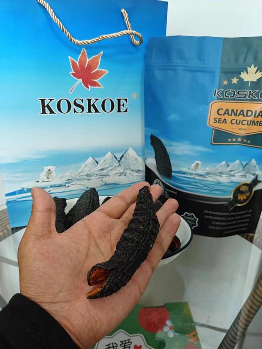 加拿大KOSKOE品牌 北极海参，稀缺海参王 15-18头 商品图2
