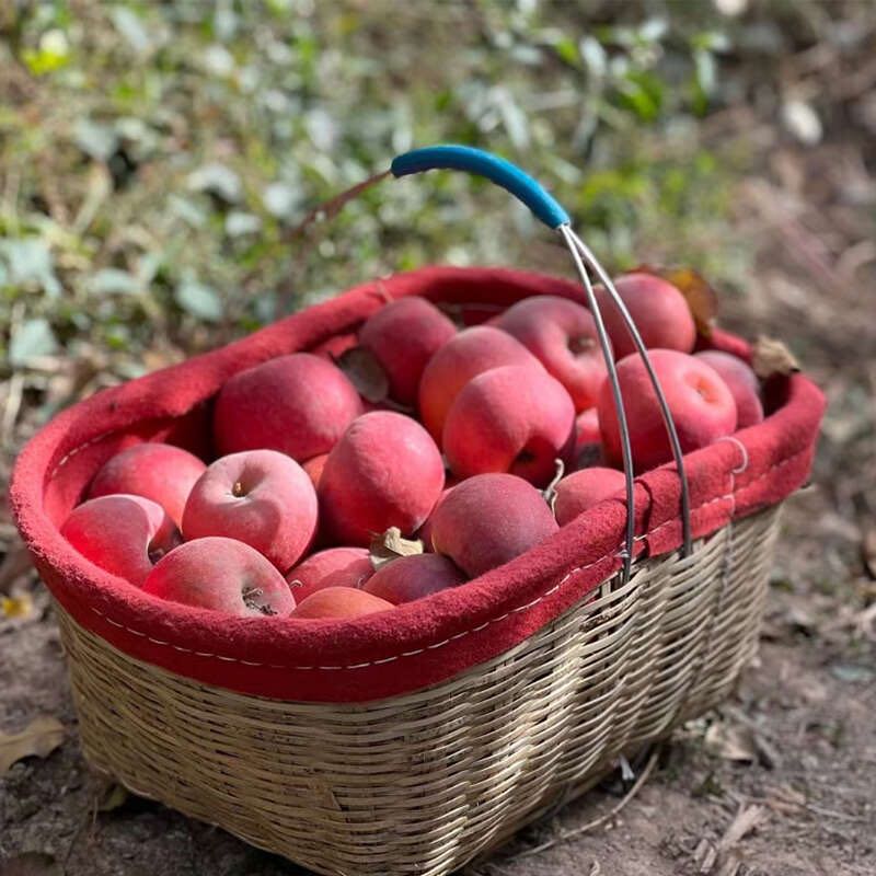 新疆阿克苏·樱桃苹果