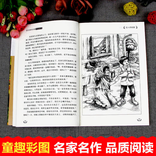 语文课本作家作品系列单色  巨人的花园 商品图4