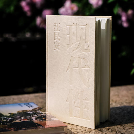 守望者书系：现代性 汪民安 著 商品图7