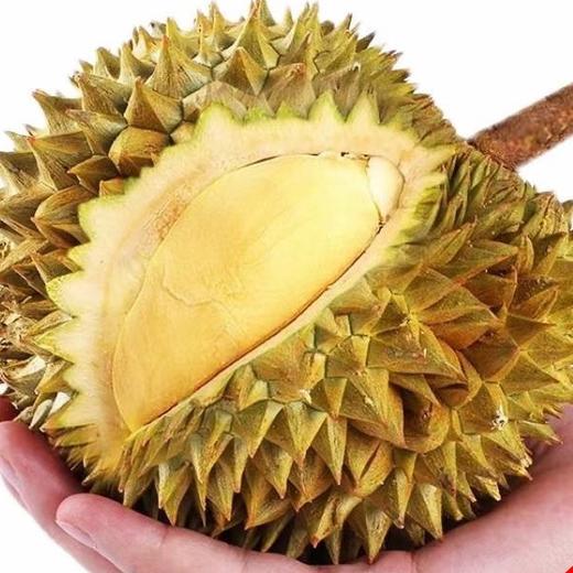 泰国托曼尼巴掌榴莲 猫山王巴掌榴莲 商品图4