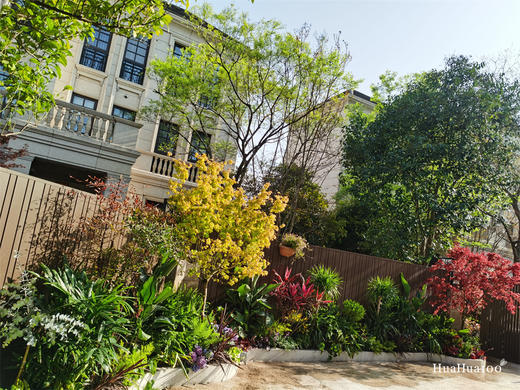 私人花园造景丨拥有独一无二自然空间(造景需求请联系客服，标价仅为展示) 商品图4