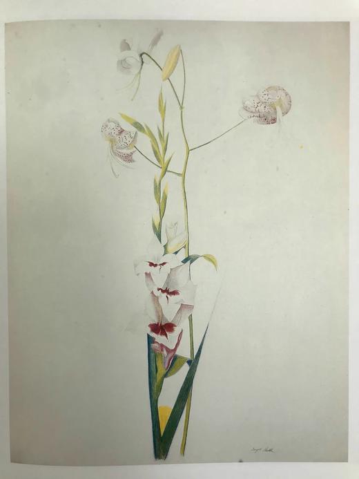 埃布斯沃思收藏：美国现代主义，1911-1947 75幅彩色插图 精装16开 商品图6