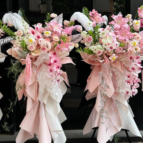 仙子之吻蝴蝶兰高级感开业花篮一对