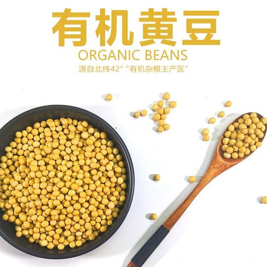 有机黄大豆 东北寒地 一年一熟 放心粮 商品图1