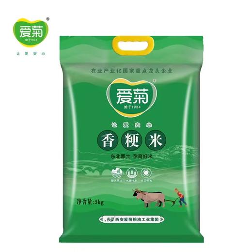 爱菊香粳米5kg 商品图0