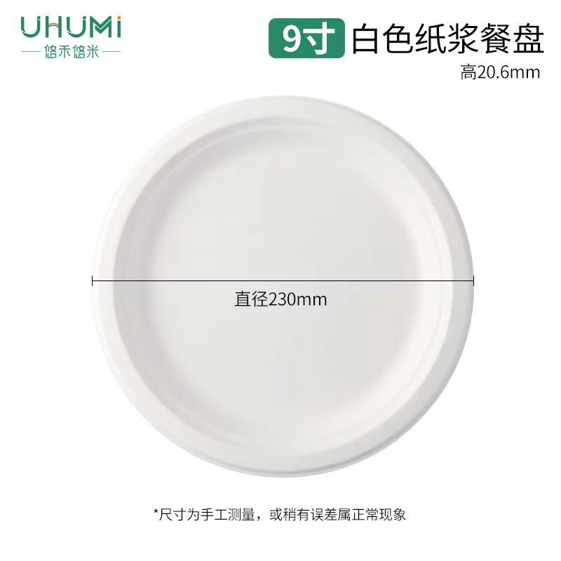 一次性餐盘10个