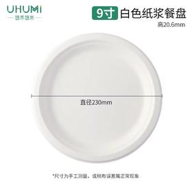 一次性餐盘10个