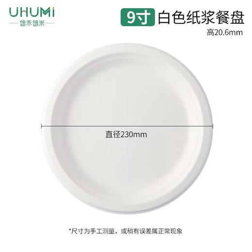 一次性餐盘10个 商品图0