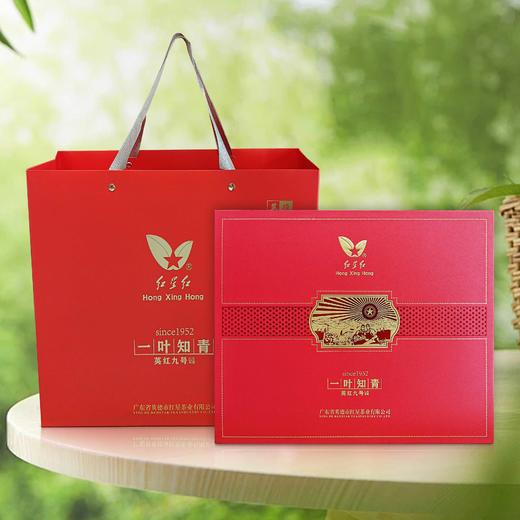 一叶知青∙贵人福英红九号 商品图4