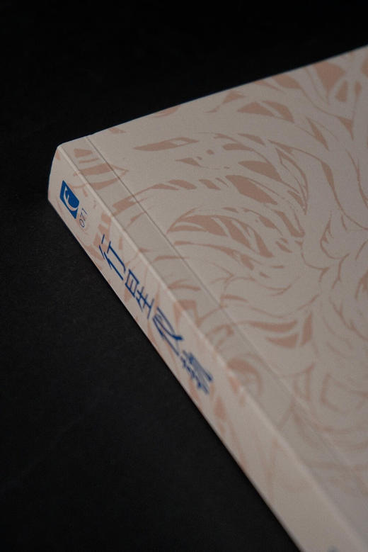 行星仪轨 暗号 最新长篇生物朋克科幻 商品图7