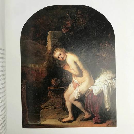 戴珍珠耳环的少女：莫瑞泰斯皇家美术馆荷兰绘画图集 约百幅彩色插图 精装16开 商品图9